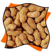 animiertes-nuss-bild-0007