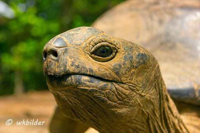 das bin ich, der Paule