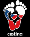 cestina
